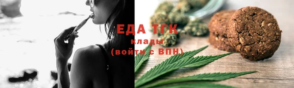 прущие грибы Алзамай