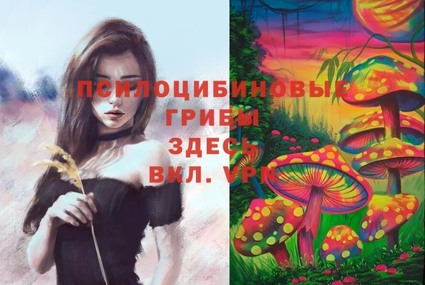 мескалин Алексеевка