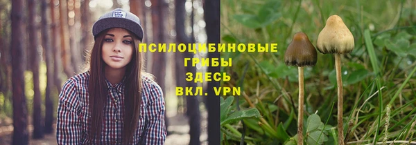 прущие грибы Алзамай