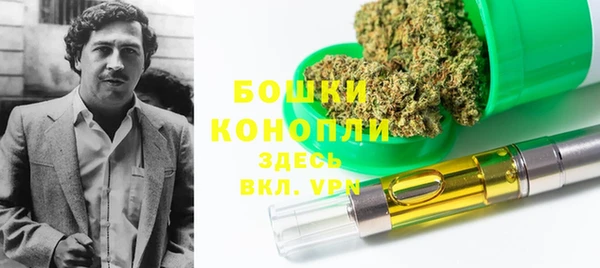 прущие грибы Алзамай