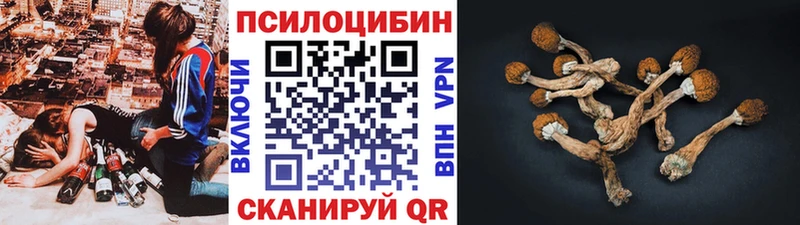 Псилоцибиновые грибы мухоморы  как найти   Грязовец 