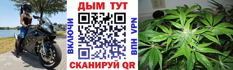 Бошки марихуана THC 21%  kraken сайт  Грязовец 